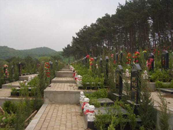 墓园环境9